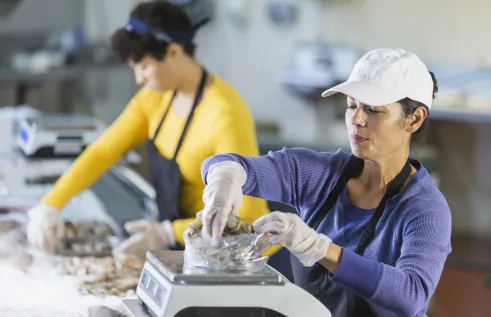 Charles Darwin University (CDU) researchers will investigate the role of women in commercial seafood industry in the Northern Territory. 