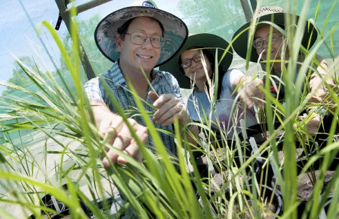 CDU-NTG PhD scholarship