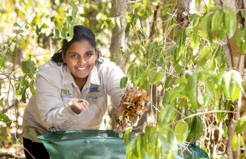 Competitive round scholarship campaign