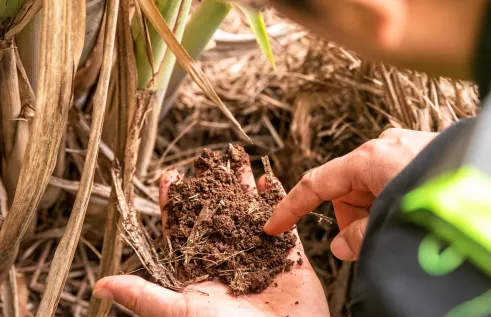 Broadacre cropping system RINA banner