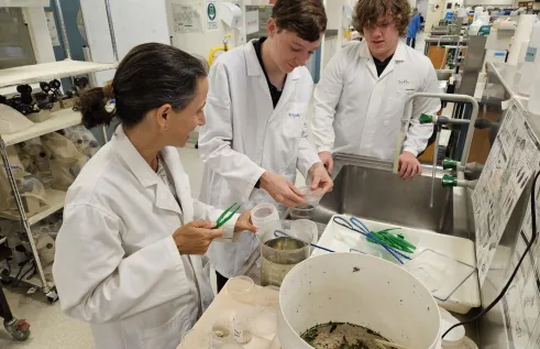 year 11 science experience