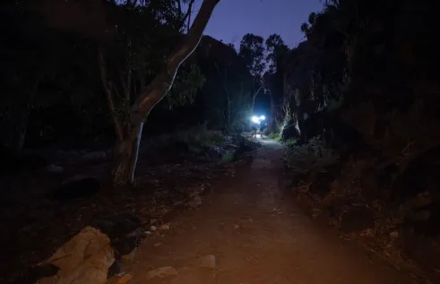 trail at night