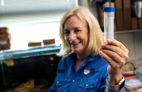 CDU Groundwater researchers are calling on citizen scientists to use water sampling kits to collect groundwater to help increase understanding of water quality across northern Australia. 