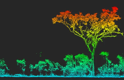 false colour image of trees made up of points, red at the top, with colours changing through yellow and green to blue at the bottom