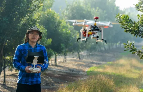person standing in orchard, holding drone controller, with drone flying in foreground