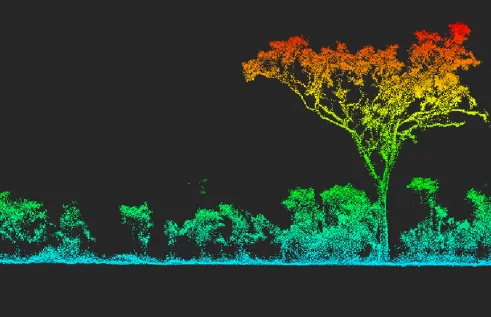 false colour image of trees made up of points, red at the top, with colours changing through yellow and green to blue at the bottom