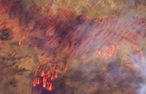 Sentinel Image of Central Australia-East Watarrka National Park