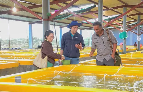 Charles Darwin University’s Professor Sunil Kadri (pictured right) is working with Nha Trang University’s Institute for Aquaculture and Can Tho University’s College of Aquaculture and Fisheries to drive better welfare outcomes for juvenile pompano. Picture: Pompano Welfare Project Team, Institute of Aquaculture, Nha Trang University