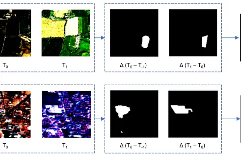 Satellite images of forests that show progression of deforestation. 