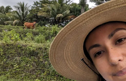 PhD student Maria Paula Ortiz-Rodriguez began her project on silage feeding for Bali cattle earlier this year. 