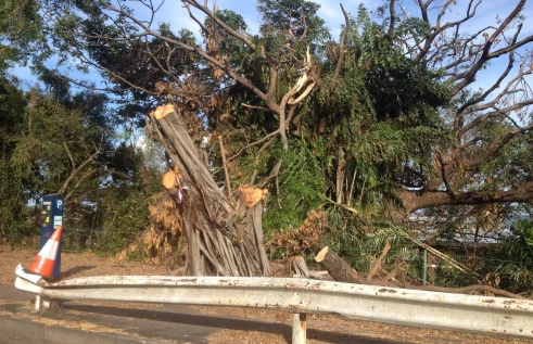 Disaster waste management is a prevalent issue in remote and very remote Northern Territory communities. 