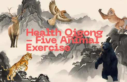 tai chi animal