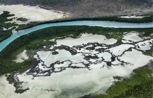 Aerial view of the Tiwi Islands showing winding turquoise river channels bordered by dense green mangroves, with pale tidal flats and dark patterns of wetlands creating striking contrasts in the landscape.