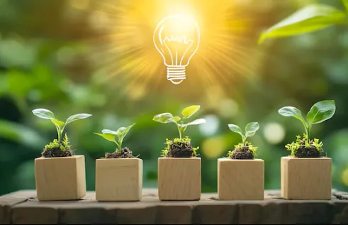 Research funding and grants 