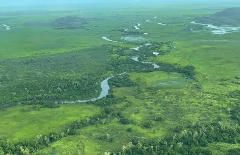 Aerial view of the South Alligator River and floodplain (Northern Territory, Australia). Lowland tropical rivers emit large quantities of greenhouse gases, with rates influenced by seasonal flooding. Credit: Jenny Davis.