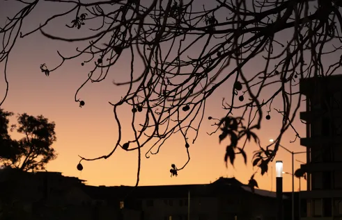Darwin sunset