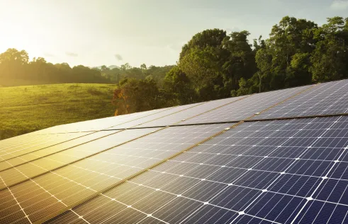 The research highlights significant gaps in conservation planning in the Northern Territory. 