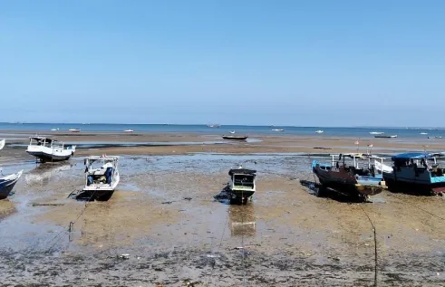 Trepang boats in Oesapa. Picture: Jotham SR Ninef