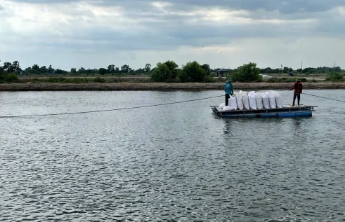 The striped catfish is a cornerstone species of Vietnam's aquaculture industry. Provided by Sunil Kadri