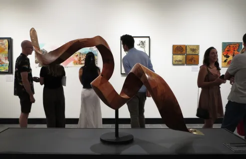 Darwin Visual Arts - Curator talk