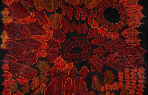 Tuwan munu Waltjipi