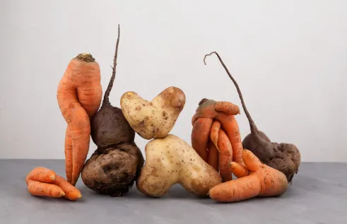 The study explored if religious principles influenced people buying "ugly" foods in Pakistan. 