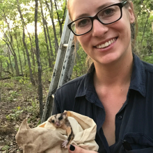 CDU Student Alyson with an baby possum 