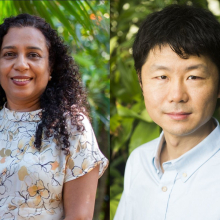 Composite image of Dr Vinuthaa Murthy and Dr Hao Wang, head and shoulders, with green leafy backgrounds