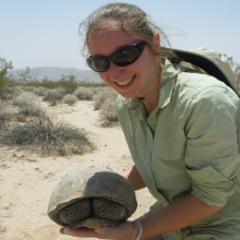 Dr Chava Weitzman wearing sunglasses holding a tortoise, in arid-looking country with small shrubs in the background