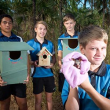 Year Nine students donate possum houses to local environment groups. From left: Rosebery Middle School Year Nine students, Darrien Niehsner, Riley Tucker, Bailey Little, Quinn Laughton