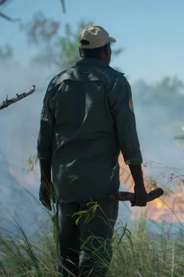 Man with back to camera watching fire in bush
