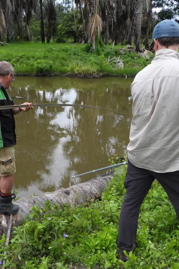 two people with backs to camera, holding long poles, one standing on a log, one standing in vegetation, on the bank of a waterway, opposite bank in distance, covered with green groundcover with palm trees