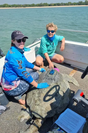 two people in a boat, squatting next to a large turtle which has small blue box with a short black antenna glued to its shell, near its neck