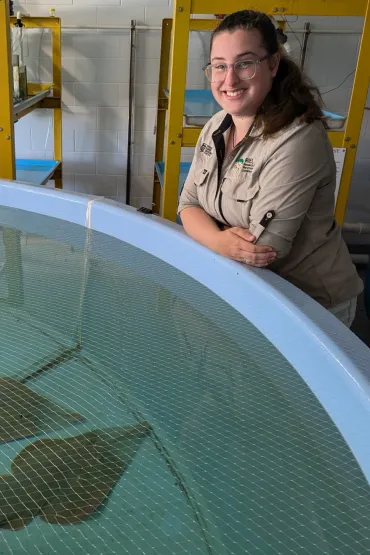 person leaning on side of large blue circular tank containing water with three large wedgefish at the bottom of the tank
