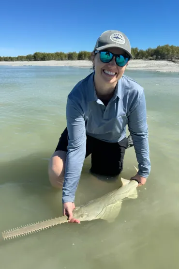 person wearing sunglasses and a cap, knee deep in water, holding a sawfish by the nose and tail, partly submerged. Forest lined beach in the background