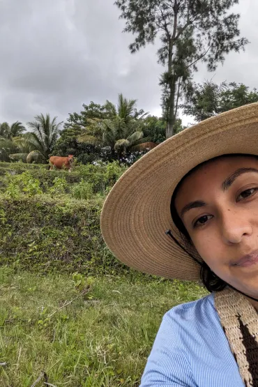 PhD student Maria Paula Ortiz-Rodriguez began her project on silage feeding for Bali cattle earlier this year. 