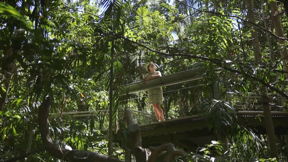 Student work - Ashleigh Abram - Artists in the Park